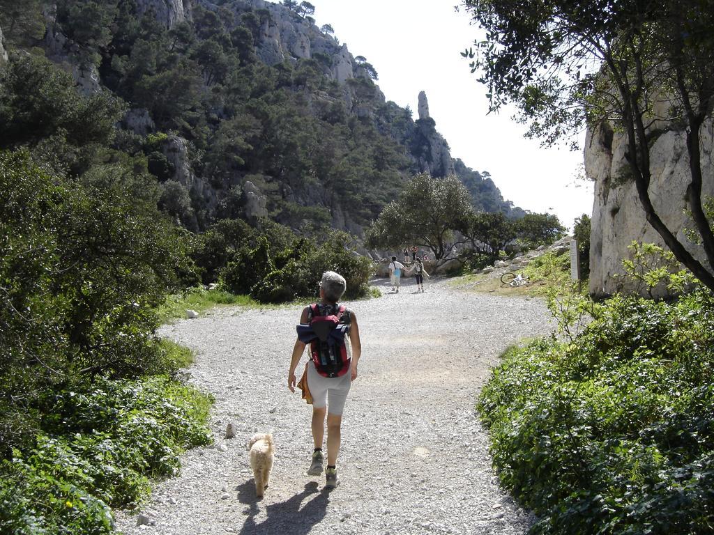 Saint-Martin-dʼArdècheCairenou Location公寓 外观 照片